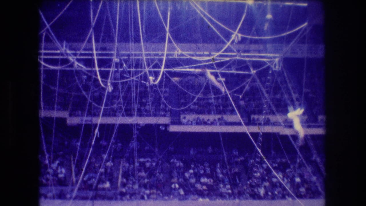 Aerial ropes and trapeze rigging span above a crowd with a bright performer at the right edge.