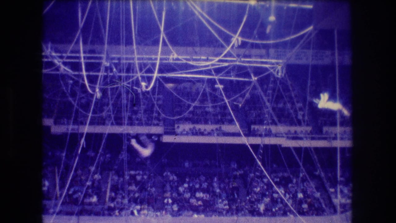Distant trapeze performer swinging above a crowded circus arena.