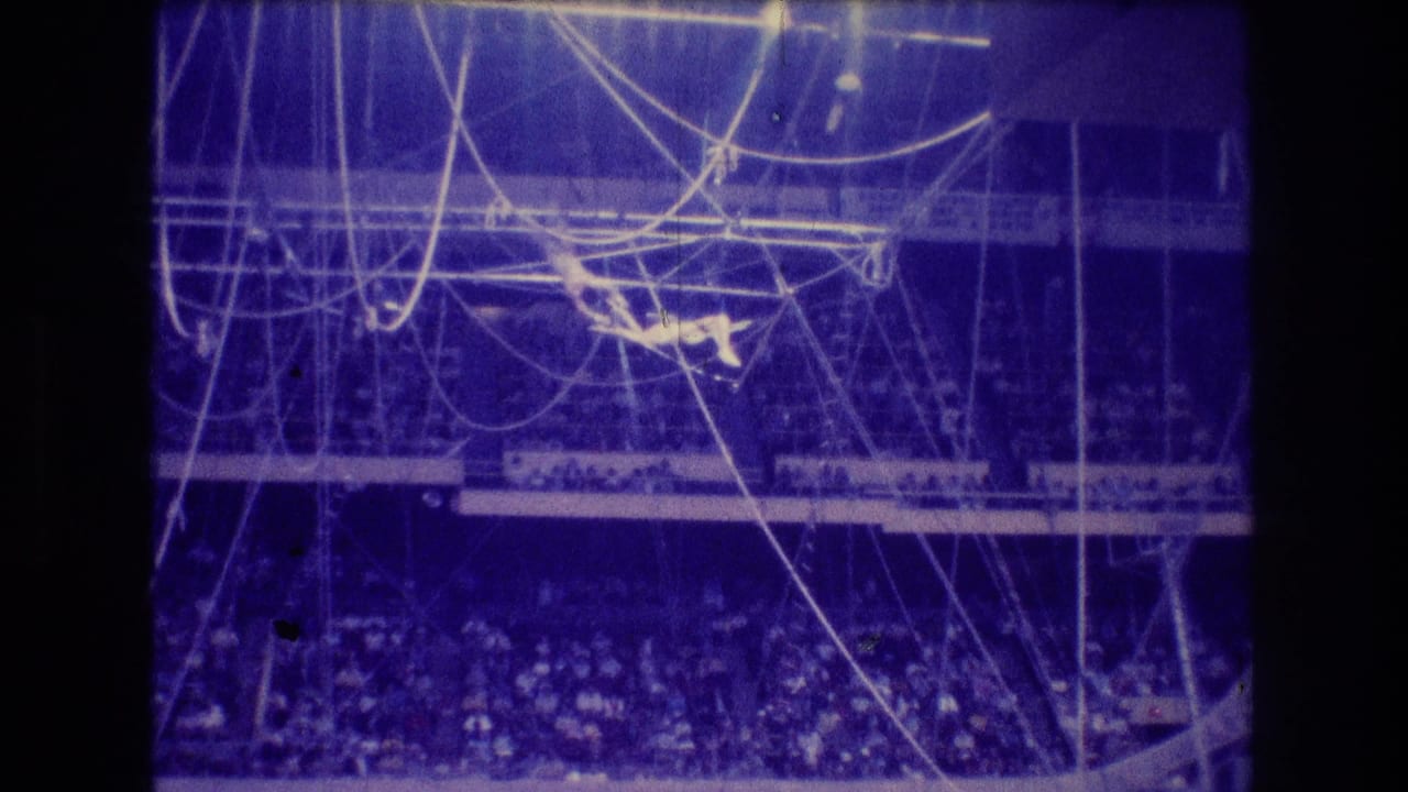 Two aerial performers move through trapeze rigging above the audience.