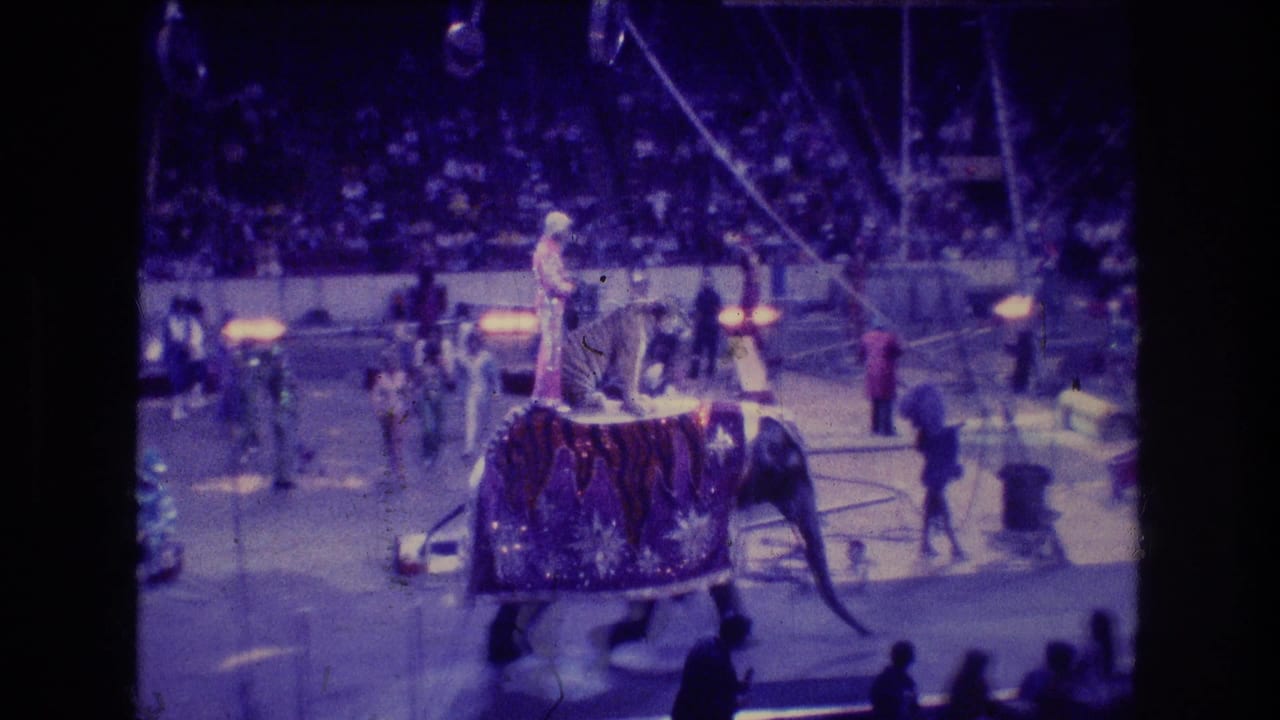 Decorated elephant crosses a circus ring with a tiger on its back while spectators watch.