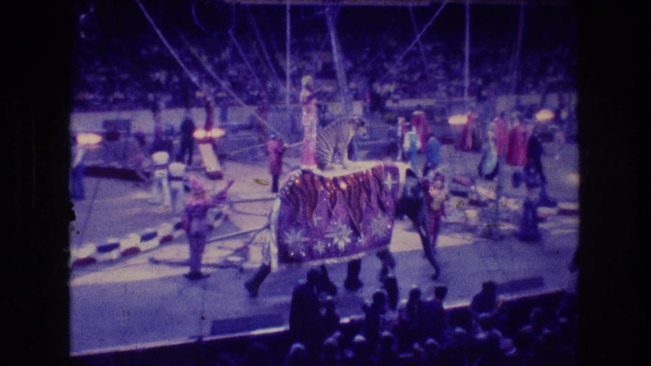 Elephant carrying a tiger moves past performers inside a brightly lit circus arena.