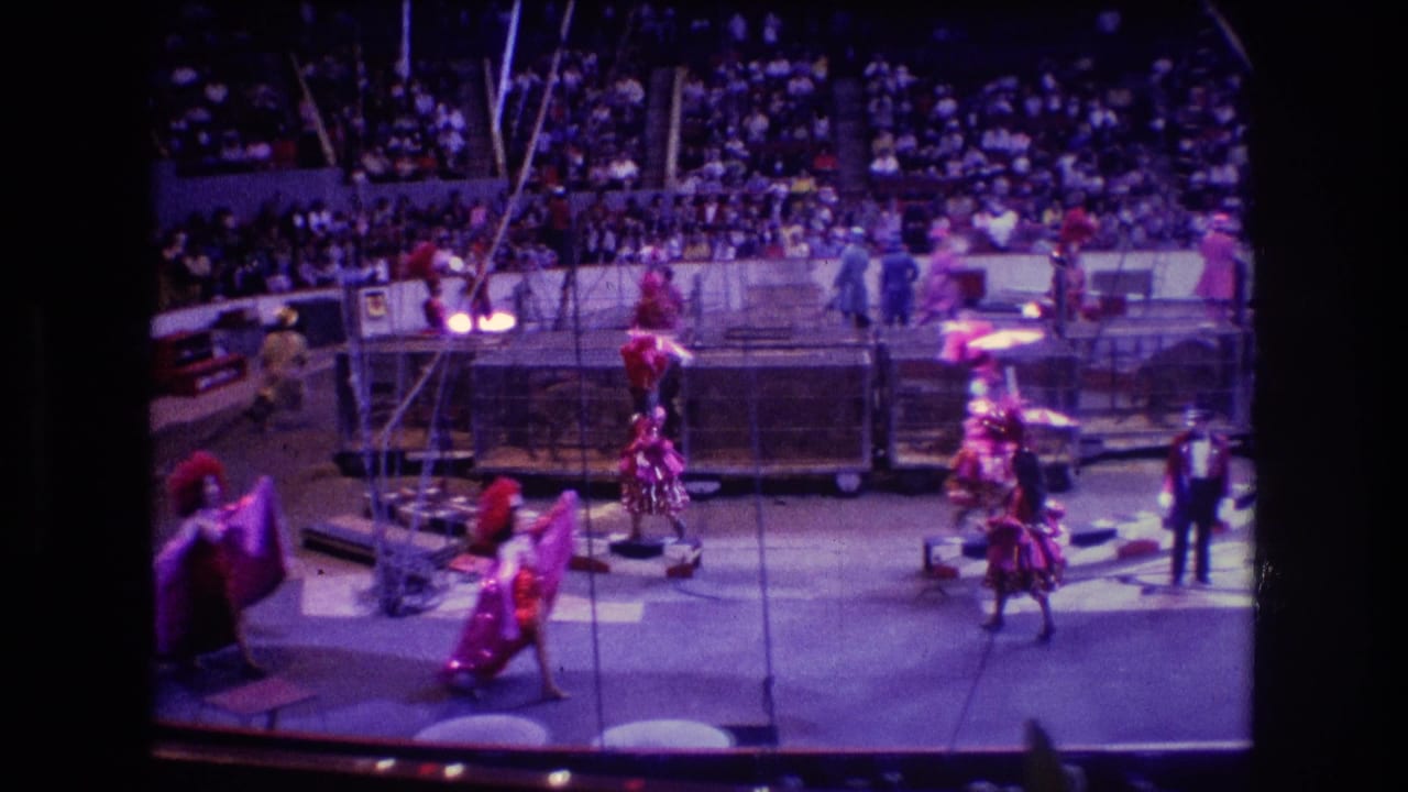 Boston 1974 8mm circus view from the stands, with costumed performers, parasols, rigging, barriers, and a packed indoor audience under purple lighting.