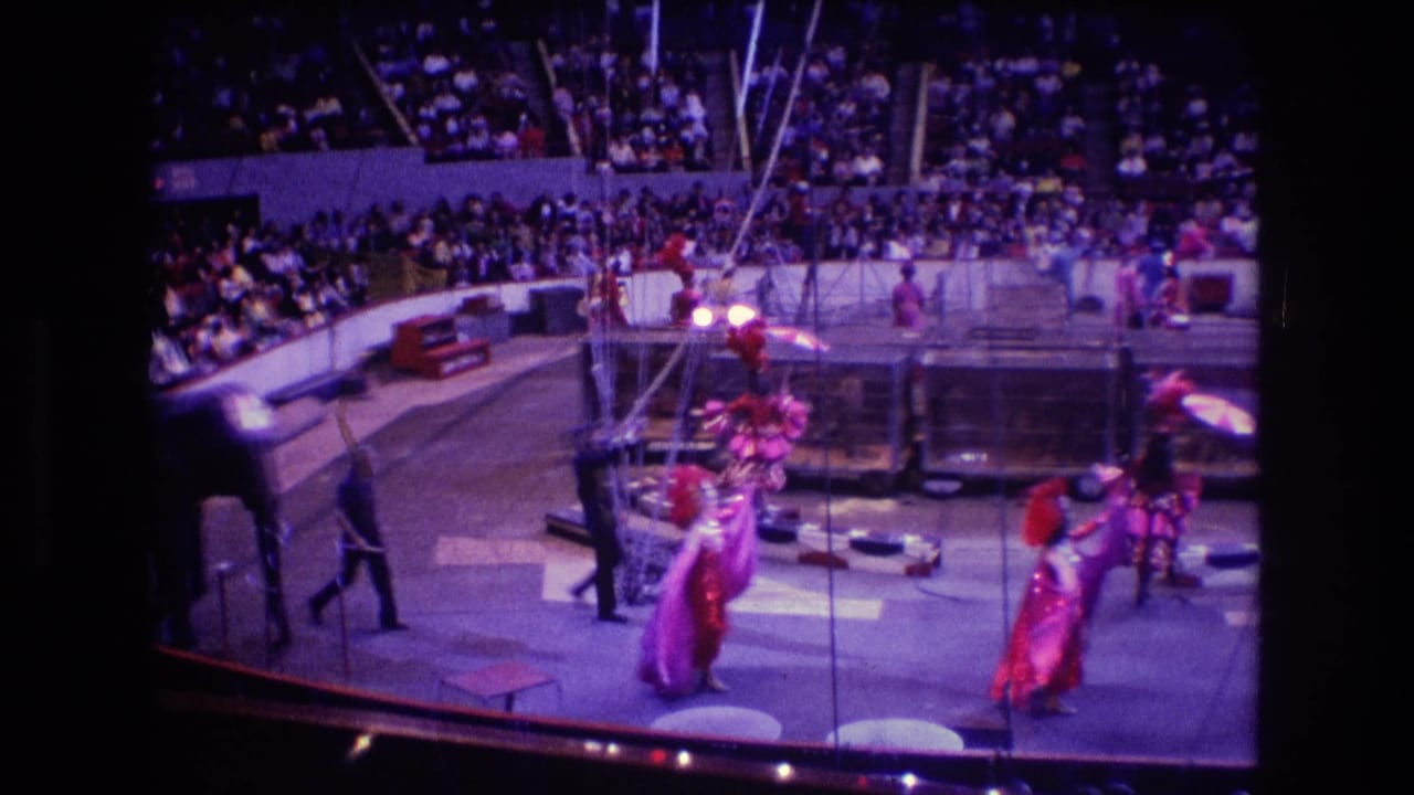 Performers in red and pink costumes move near circus equipment as the audience watches.