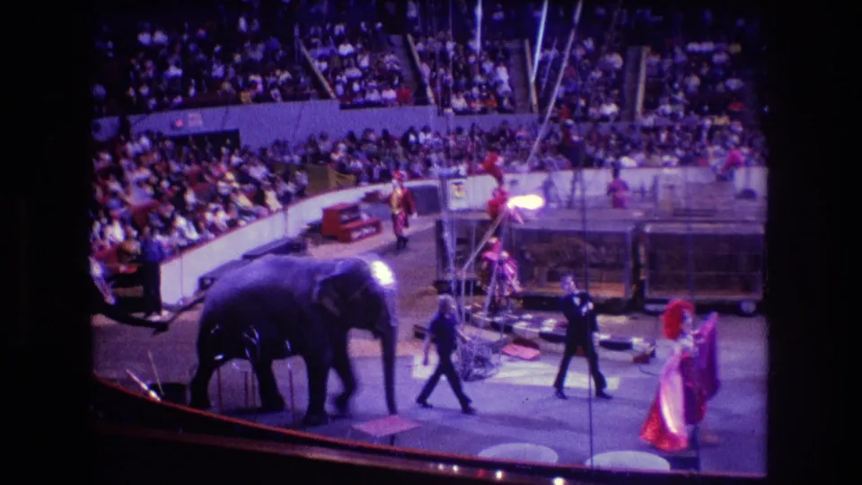 Boston 1974 8mm frame with an elephant walking through the circus arena, guided near handlers as feathered performers and the audience remain visible.