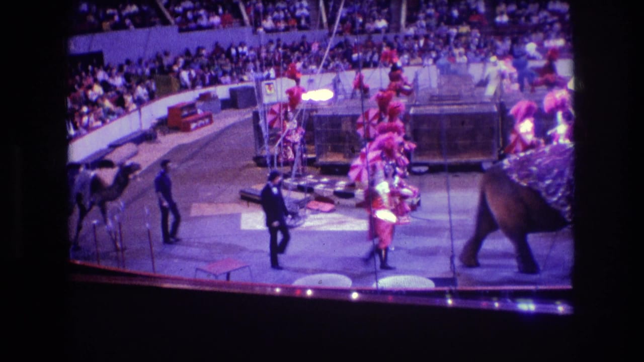 1974 Boston 8mm frame showing a circus ring with elephants and camels moving past pink-costumed performers as spectators fill the arena seating.