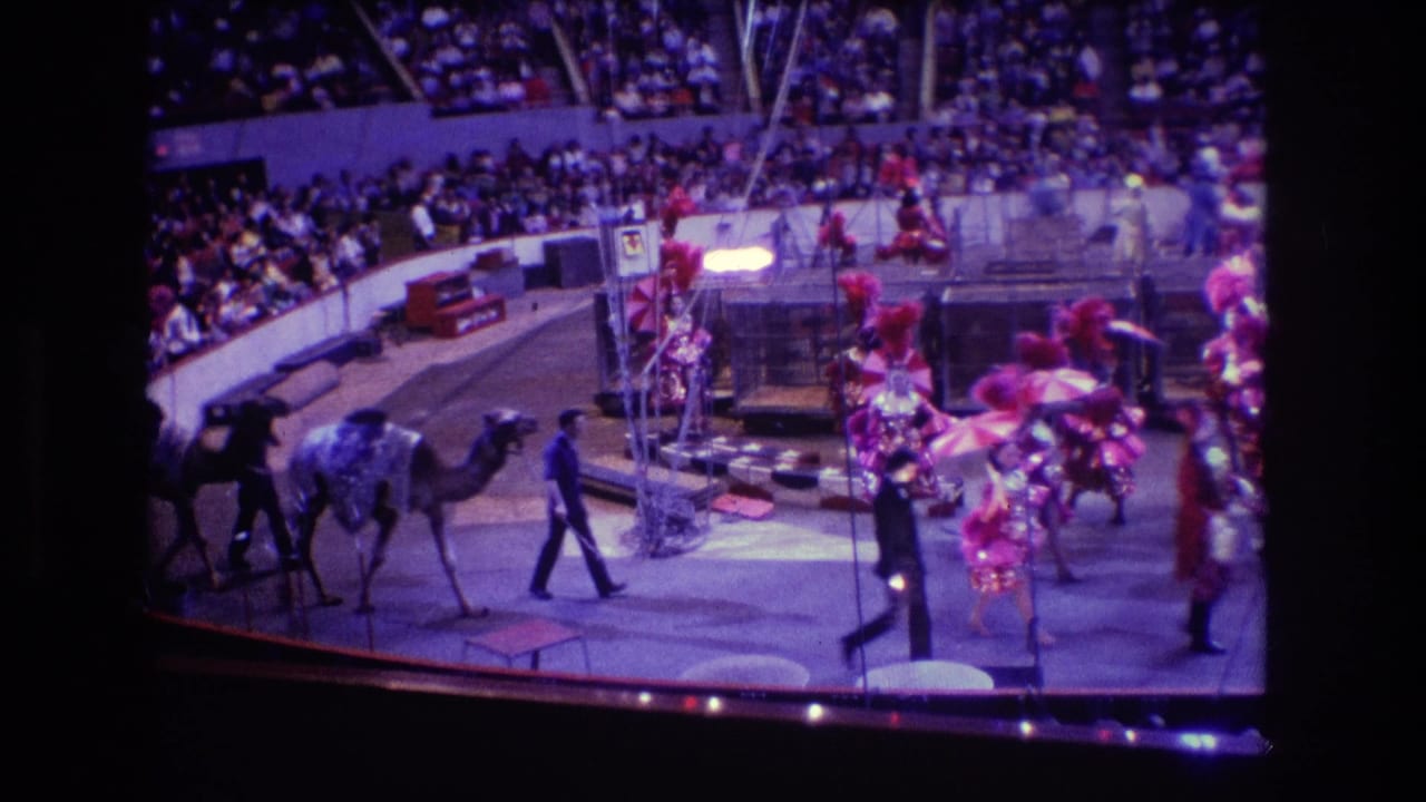 Camels and circus performers move around the ring with an elephant partly visible.