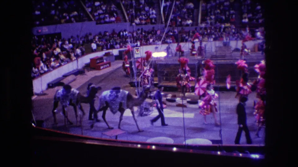 1974 Boston 8mm frame showing two camels crossing the circus ring while handlers and pink-costumed performers stand near ring equipment and the watching audience.