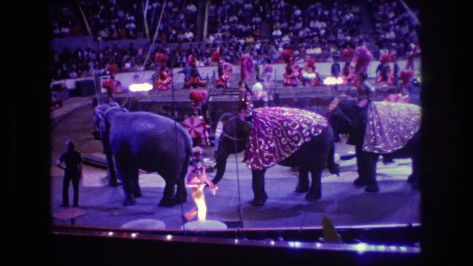 Boston 1974 8mm frame showing decorated elephants in the circus ring, with handlers, pink-costumed performers, rigging, and spectators visible around the arena.