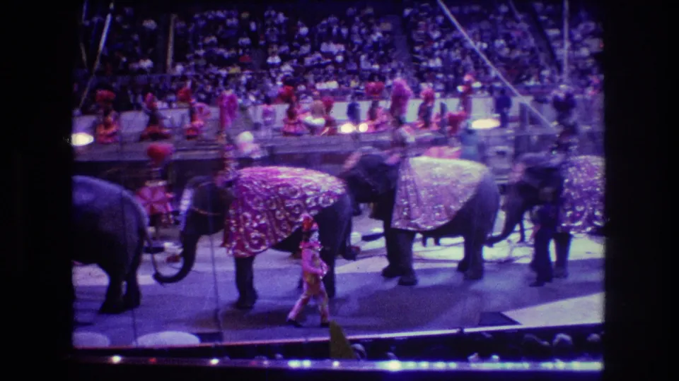 Boston 1974 circus frame with decorated elephants, handlers, performers in bright costumes, arena seating, and visible motion blur from the home-movie recording.