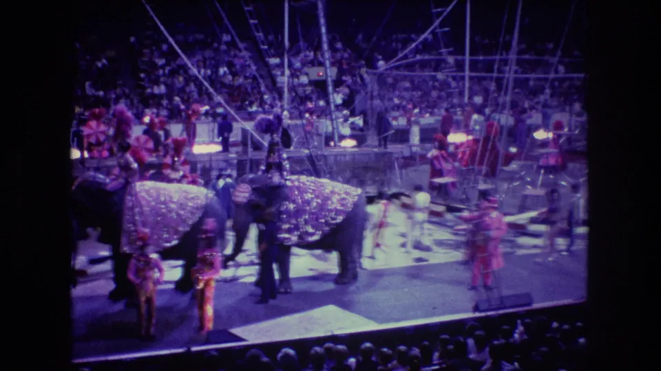 Wider 1974 Boston 8mm frame showing a circus elephant act with performers crossing the ring, spectators seated behind, and dark contact-sheet borders around the image.