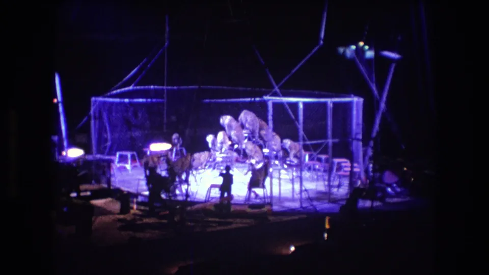 Purple-tinted 8mm frame of the Boston circus ring showing performers around a metal enclosure or rigging structure, with stage equipment and shadowed audience areas visible.