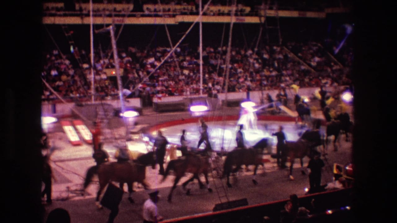 Boston 1974 8mm home-movie frame showing trained horses moving around the circus ring with handlers nearby, a brightly lit performer at center, and spectators filling the background seats.