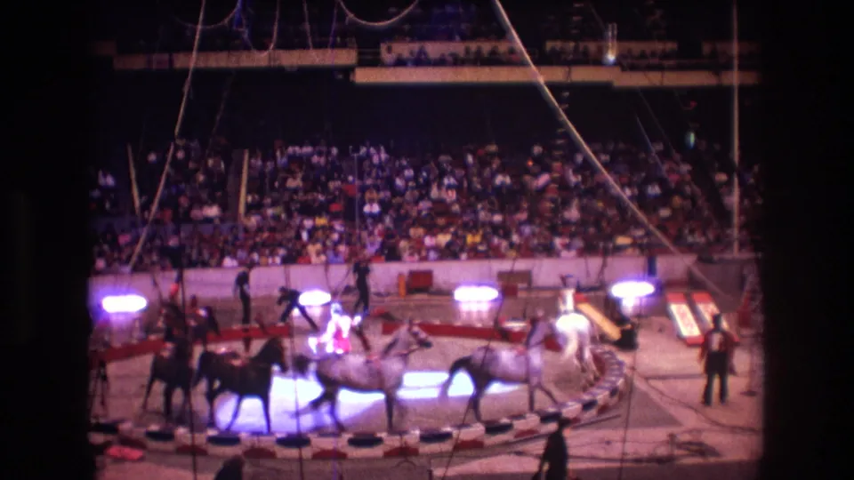 In Boston 1974 8mm footage, horses circle a compact indoor circus ring under bright purple-white spotlights, with handlers nearby and a large seated audience behind them.
