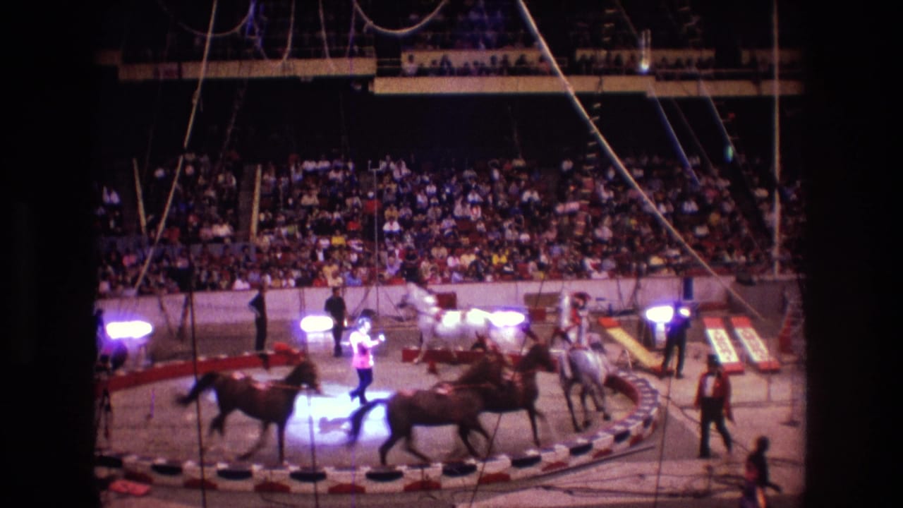 Several horses and handlers occupy the circus ring beneath bright spotlights with spectators seated in the background.