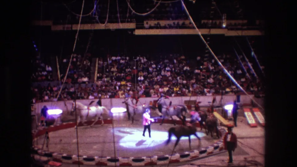 A handler stands in the lit center of the Boston 1974 circus ring while horses move around the edge, framed by 8mm grain, a low barrier, and a packed audience.