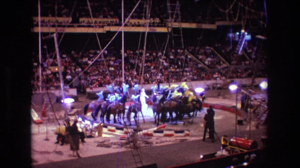 1974 Boston circus footage shows horses and riders grouped in the bright center ring, with rigging overhead and spectators filling the arena seats.