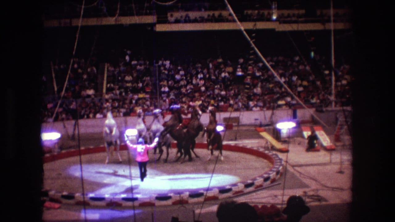 1974 Boston 8mm frame showing trained horses gathered in a circus ring while a performer in a bright jacket stands under spotlights before the audience.