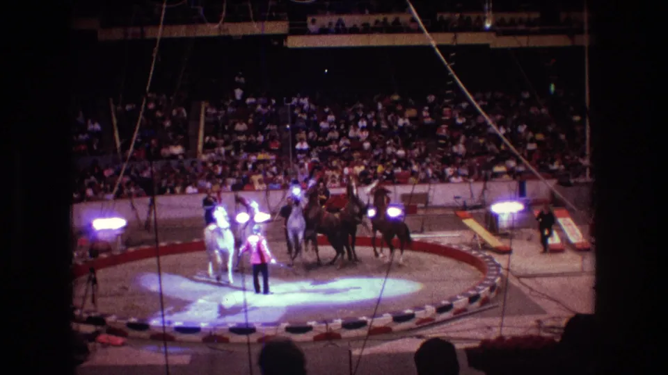 1974 Boston circus footage frame with several horses positioned around a ringmaster-style performer as spectators watch from the stands.