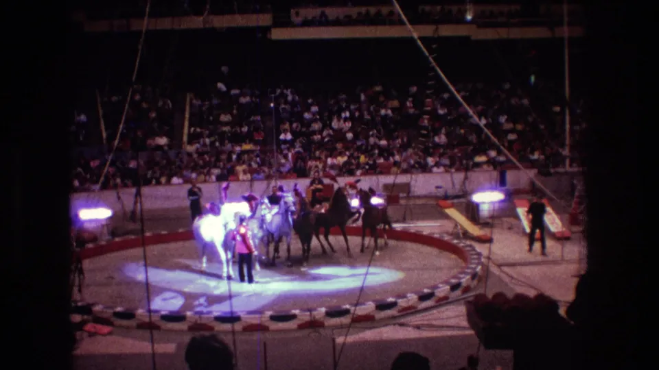 Audience-view 8mm frame from Boston in 1974 showing a clustered horse act in the circus ring with bright theatrical lighting and seated spectators.
