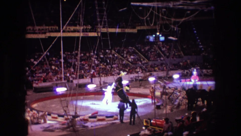Wide 1974 Boston circus frame showing horses at the edge of a spotlighted ring, visible overhead rigging, and a large audience in the stands.