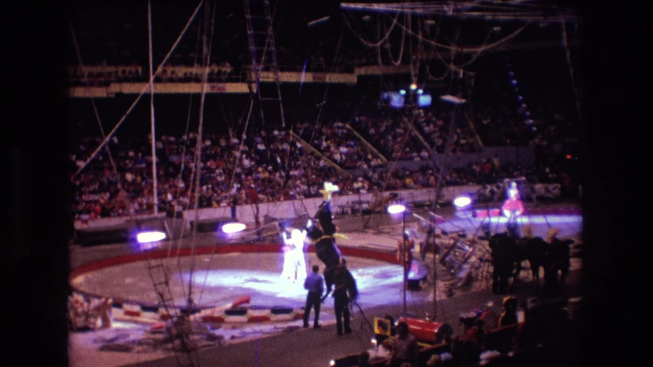 Circus performer guides a rearing horse in a lit arena ring before a seated audience.