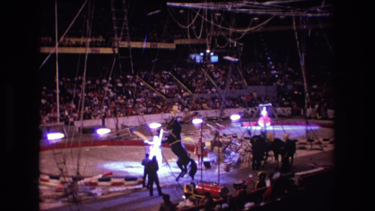 Horse stands on hind legs near a performer while audience members watch from tiered seating.