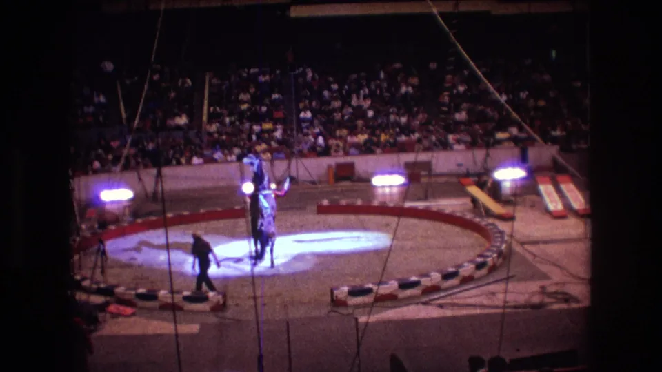 Boston 1974 8mm frame showing the circus performer and horse in the center ring, framed by bright lights, suspended rigging, and a seated arena audience.