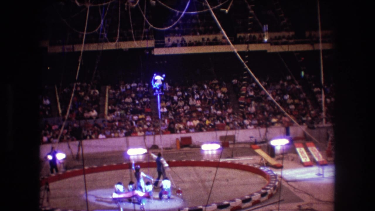 Performer and assistants in a circus ring viewed from the stands.