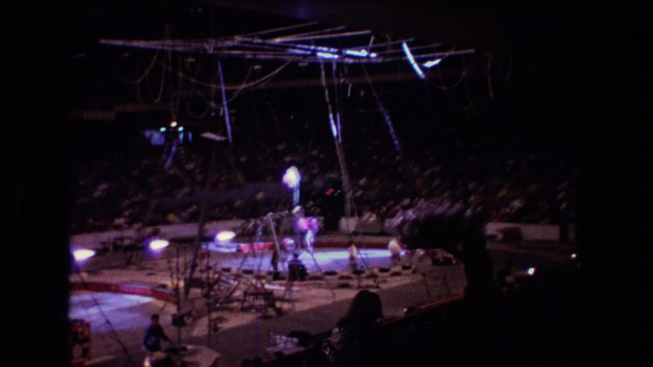 Arena circus ring with overhead rigging, performers near the center, and spectators seated around the ring.