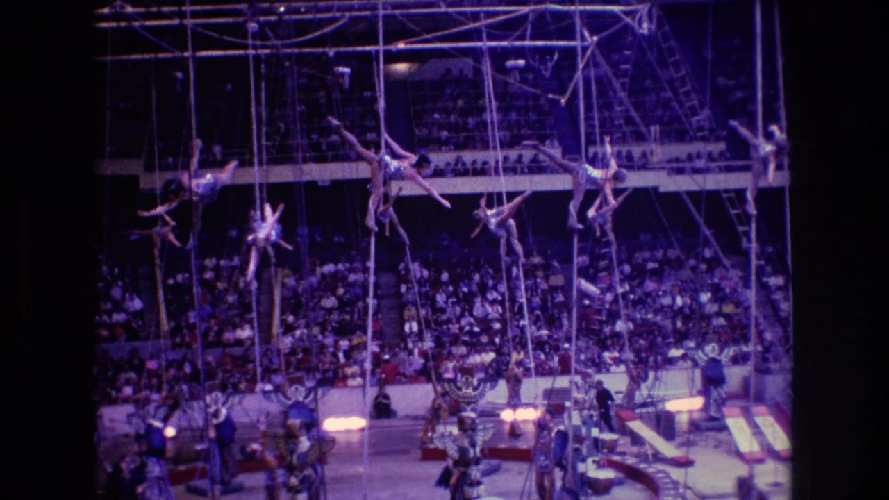 Multiple aerial performers hang from ropes above a circus floor as a large arena audience watches.