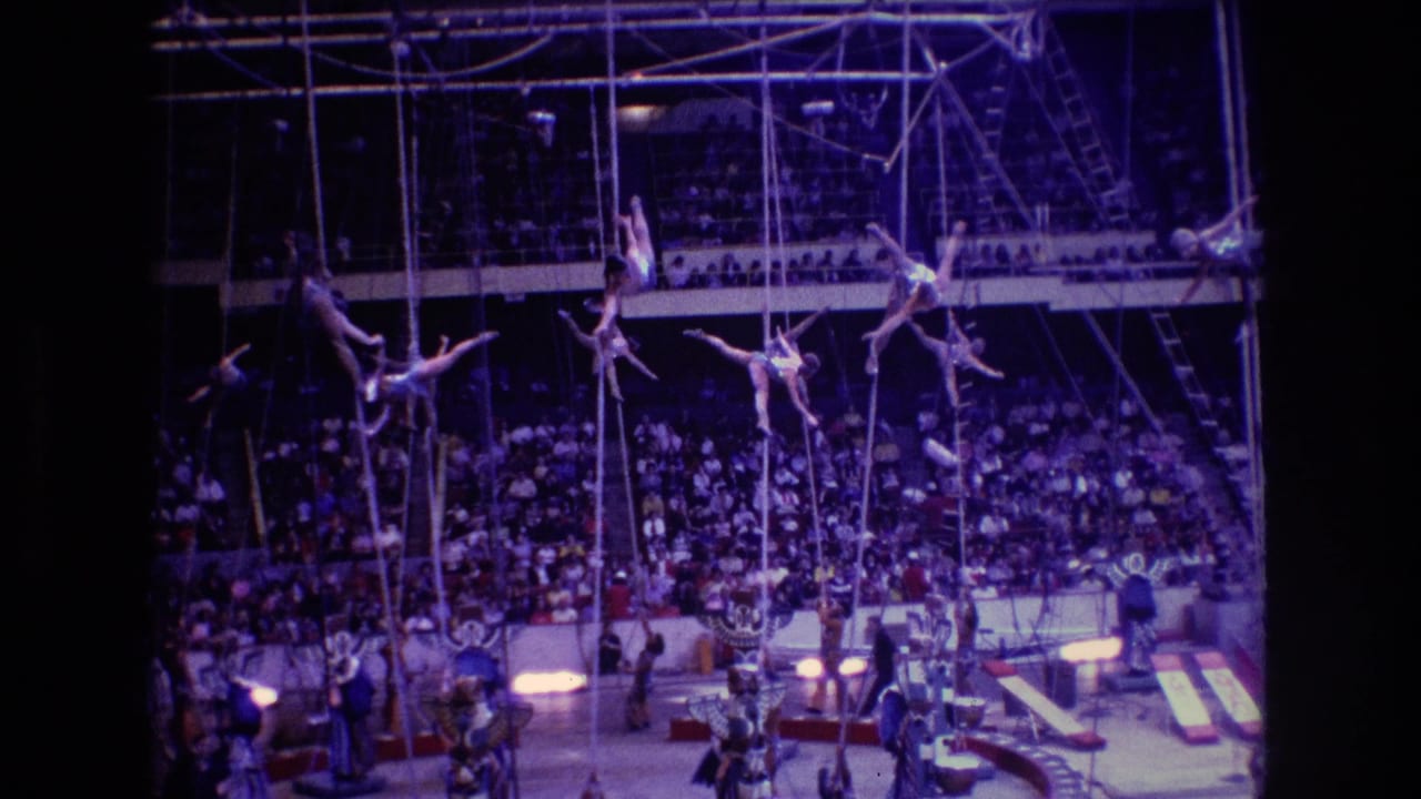 Aerialists perform on suspended ropes under purple lighting with spectators seated in the background.