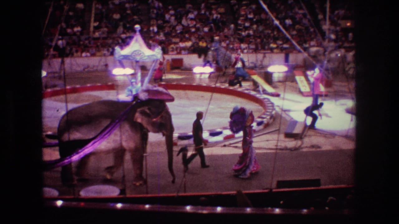 1974 Boston 8mm frame showing an elephant in a circus ring with a purple cloth, costumed handlers and performers, bright stage lights, and a seated audience behind the barrier.