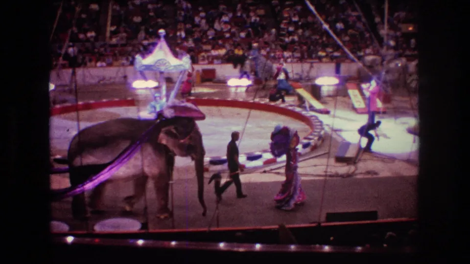 1974 Boston 8mm frame showing an elephant in a circus ring with a purple cloth, costumed handlers and performers, bright stage lights, and a seated audience behind the barrier.