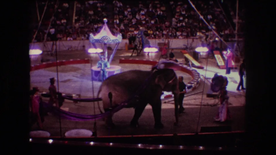1974 Boston circus frame with the elephant crossing the foreground, handlers nearby, a bright central ring prop, and spectators filling the background seats.