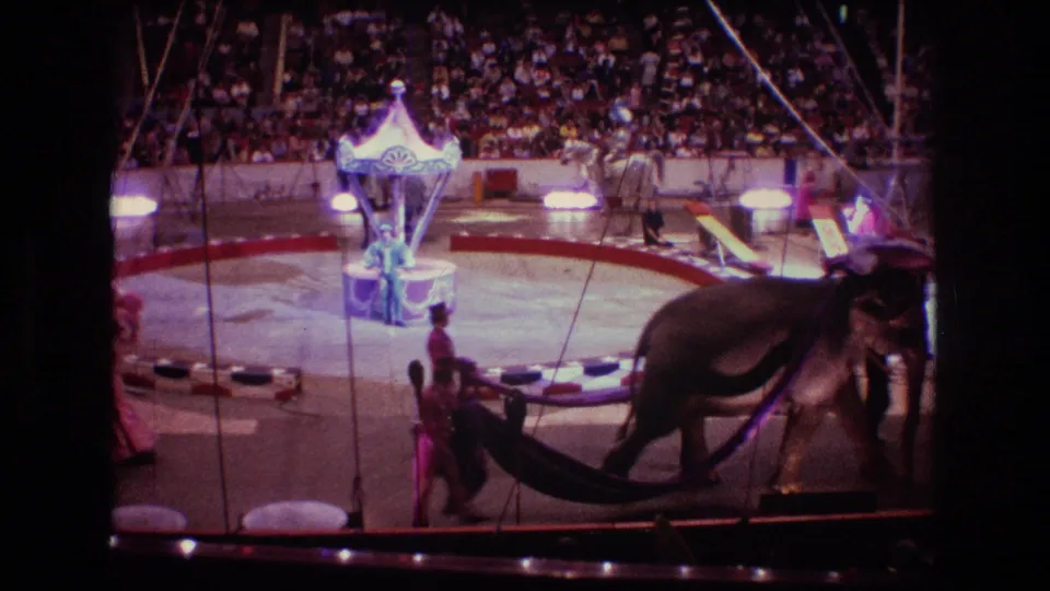 1974 Boston 8mm frame showing the elephant near the edge of the circus ring, performers in colorful costumes, a central carousel-like structure, and arena spectators in the background.