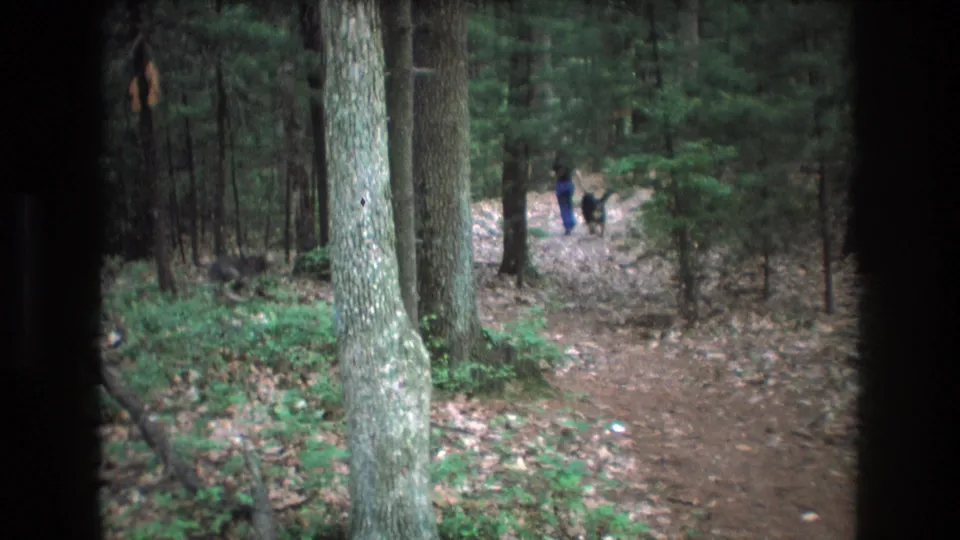 1975 Baxter, Maine 8mm frame showing a person and dog near the bend of a woodland path, with soft focus, grain, and tall trees surrounding them.