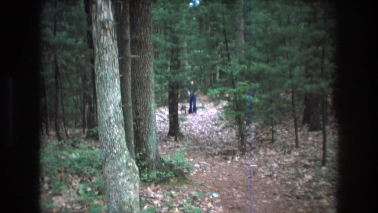 Wooded trail with a small distant figure partly obscured by trees.