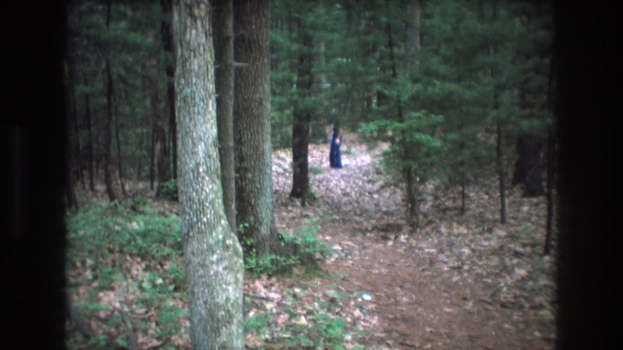 Distant person in dark blue moving on a wooded path between tall trees.