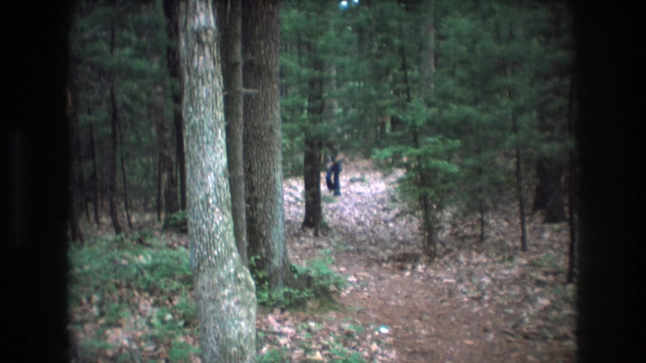 Person farther down a wooded dirt path, partly obscured by trees and dark frame edges.