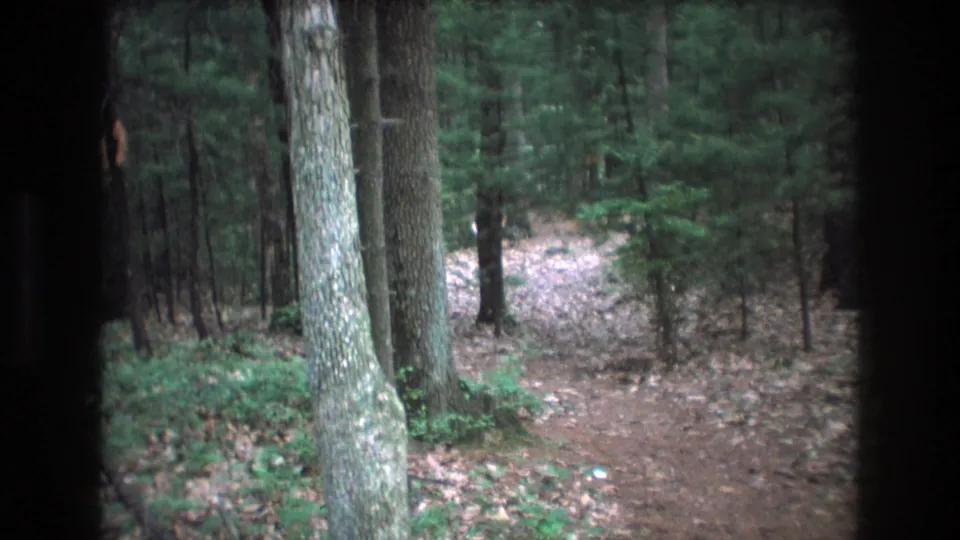 1975 Baxter, Maine 8mm frame showing the wooded path and tree trunks, with a partial person at the edge of the obstructed frame.