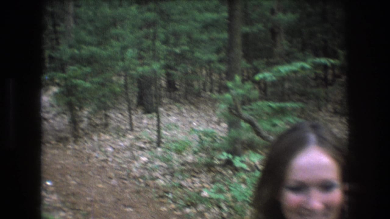 Close partial view of a smiling woman at the edge of a wooded frame.