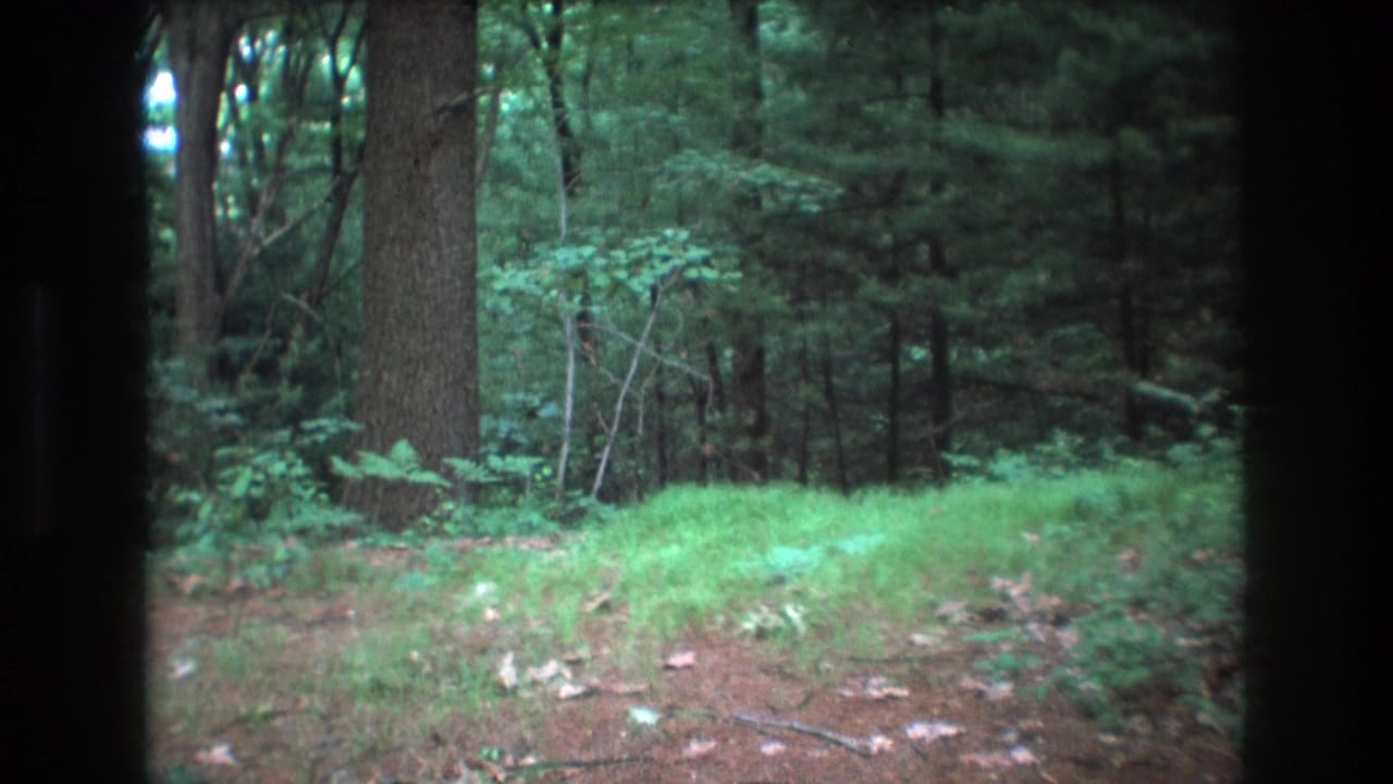 1975 Baxter, Maine 8mm frame showing a still wooded area with bright green grass, brown leaf litter, a large tree trunk, and dense background trees within a dark film border.