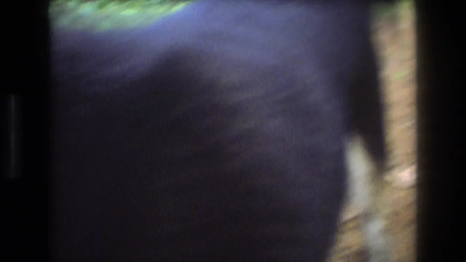 1975 Baxter, Maine 8mm frame with a mostly dark foreground obstruction and a small visible edge of forest ground and greenery.