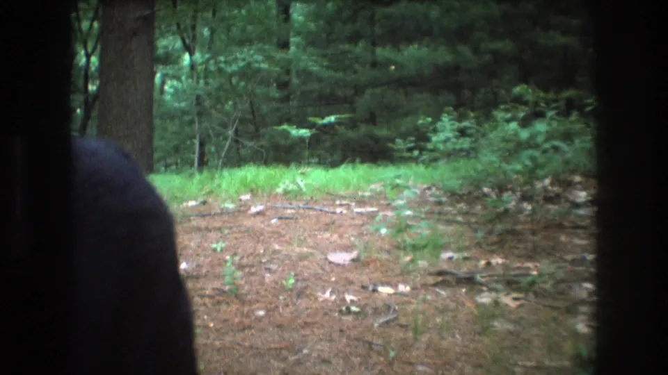 1975 Baxter, Maine 8mm frame showing a quiet forest floor and trail area, with tree trunks, green undergrowth, and a dark partial foreground edge.