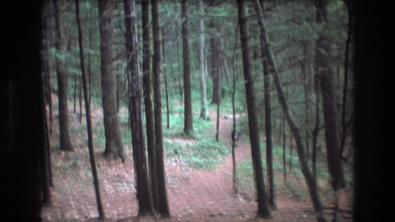 1975 Baxter, Maine 8mm frame showing a narrow dirt path through tall pine trees and green forest understory.