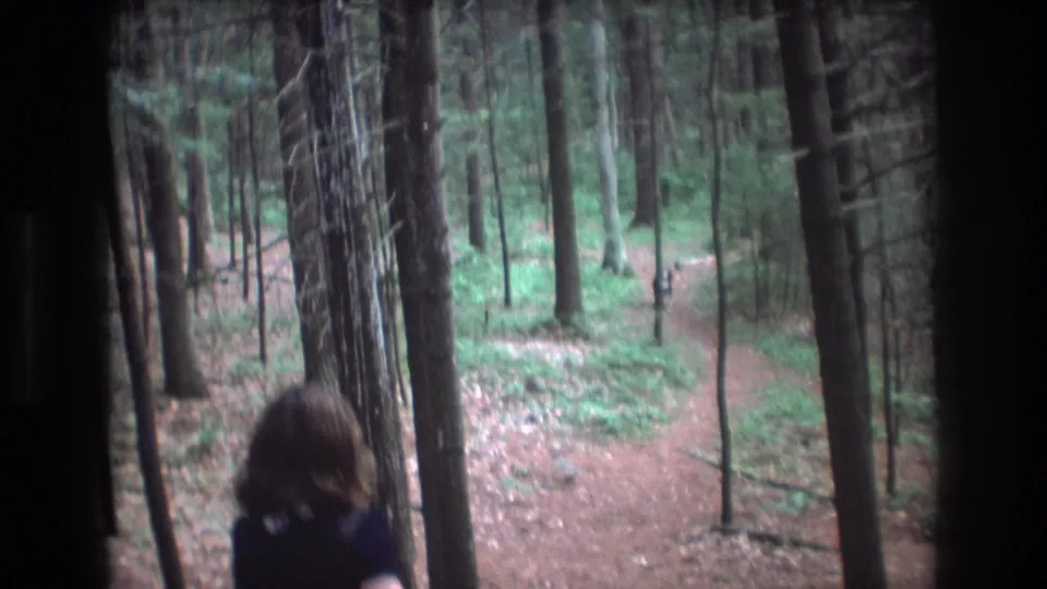 1975 Baxter, Maine home-movie frame showing a girl from behind watching a deer farther along a forest path.