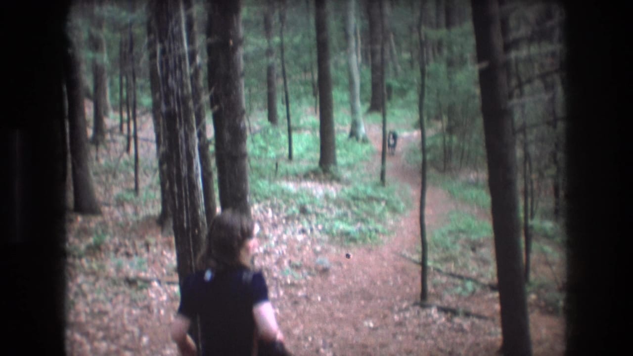 In metadata-supported Baxter, Maine in 1975, a woman in a dark blouse and blue pants runs along a forest trail carrying a dark handbag.
