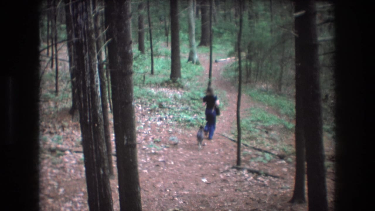 1975 Baxter, Maine 8mm frame showing a woman in a dark top and blue pants walking a small dog along a forest trail between tall trees.