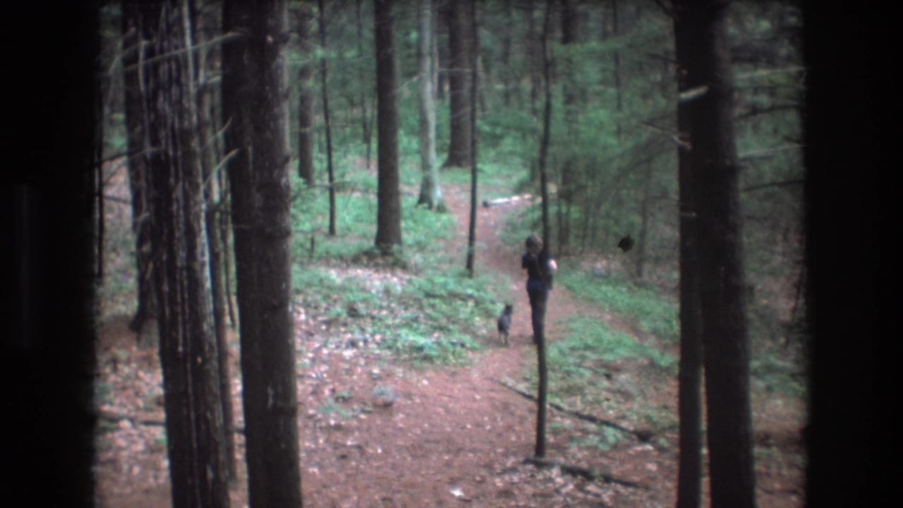 Woman and small dog farther along a winding forest path.
