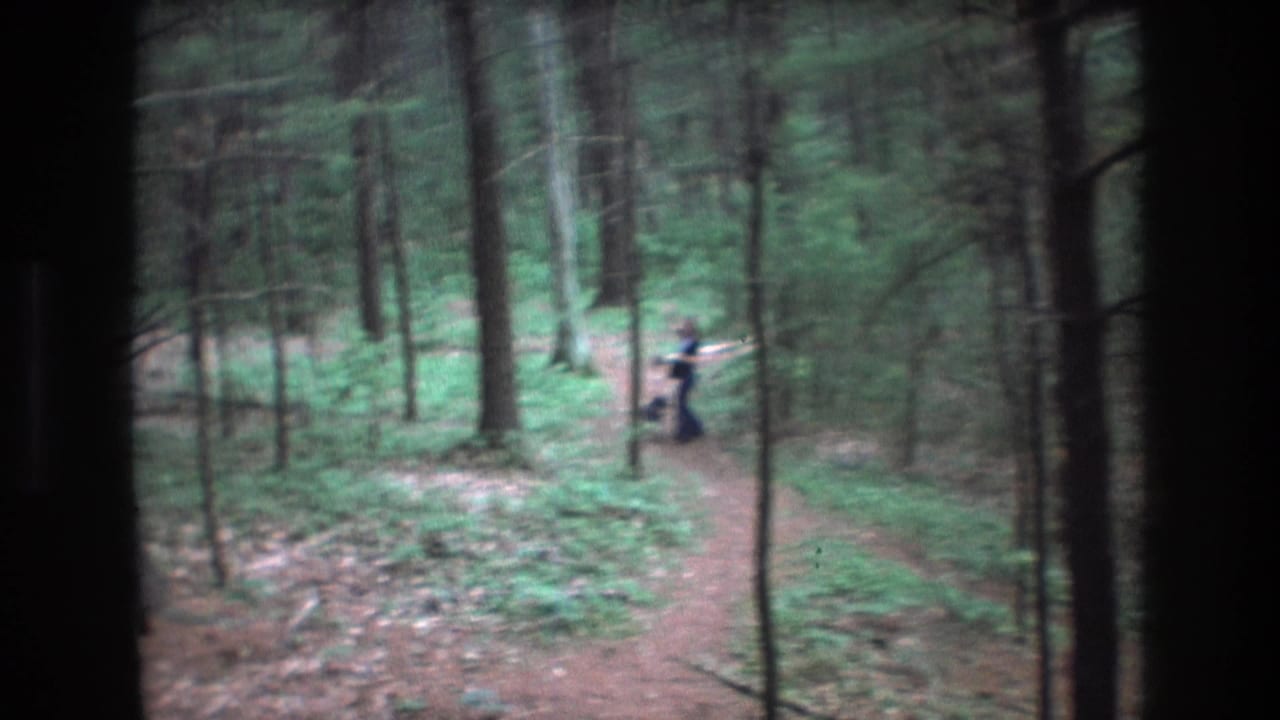 Person and small dog move along a forest path with trees and green undergrowth.